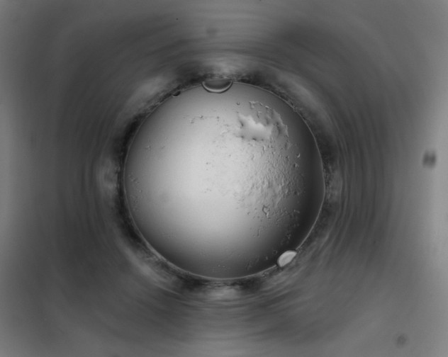 X0000102280456200807251402