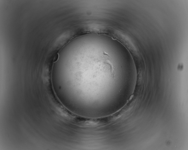 X0000102280457200807251402