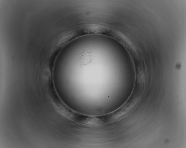 X0000102280459200807251402