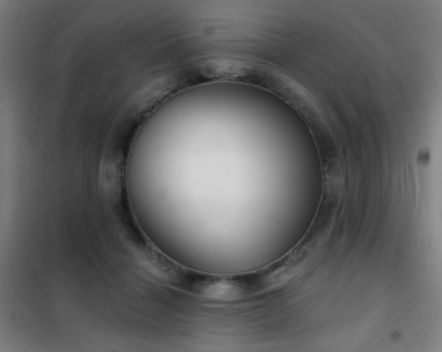 X0000102280460200807251402