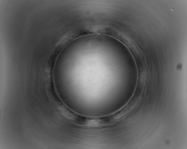 X0000102280461200807251402