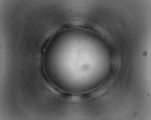 X0000102280462200807251402