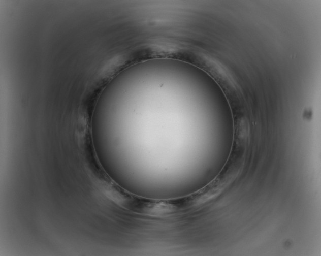X0000102280463200807251402