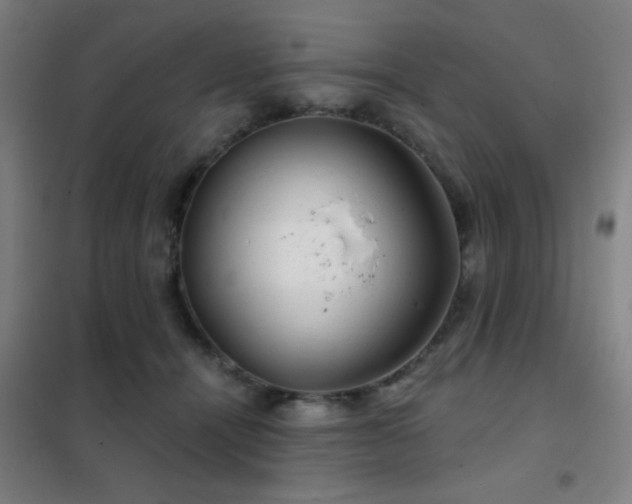 X0000102280464200807251402