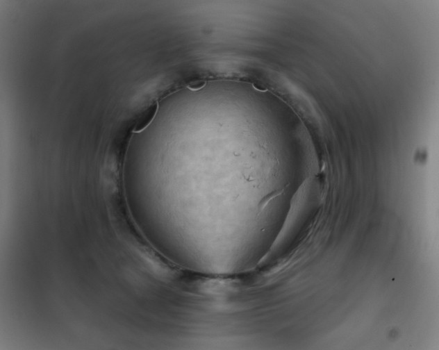 X0000102280465200807251402