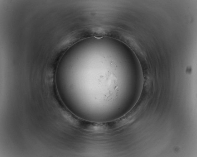 X0000102280466200807251402