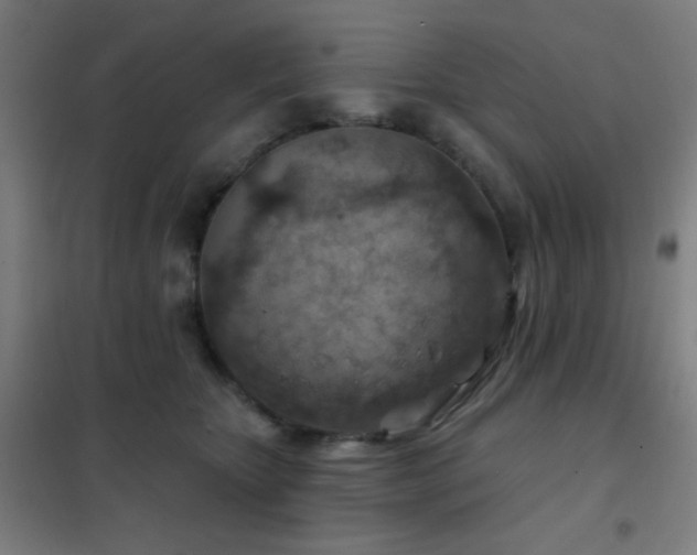 X0000102280467200807251402