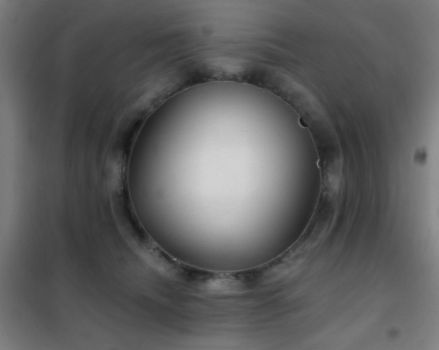 X0000102280468200807251402
