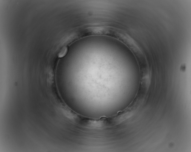 X0000102280469200807251402