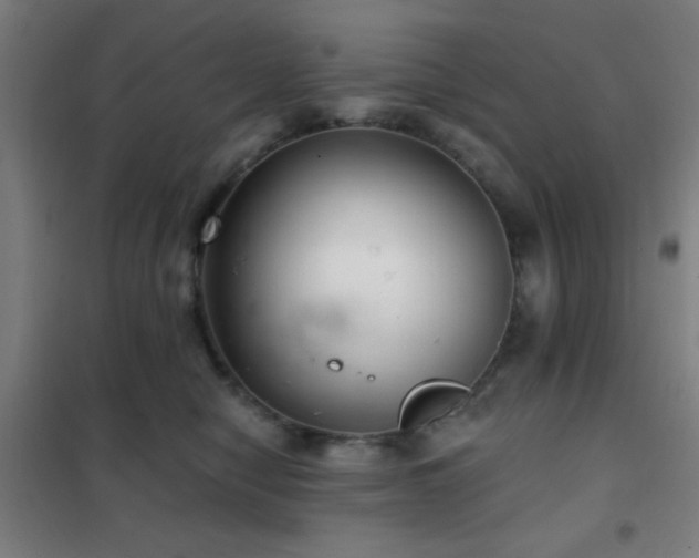 X0000102280470200807251402