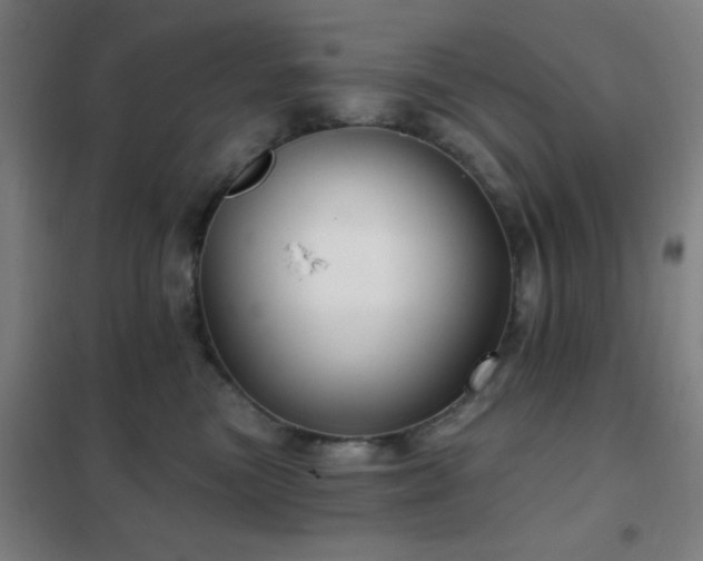 X0000102280473200807251402