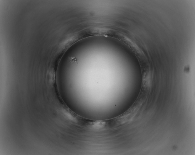 X0000102280474200807251402