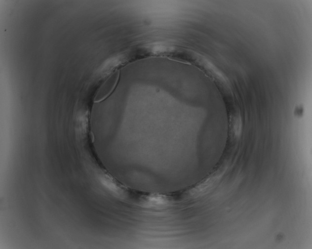 X0000102280475200807251402