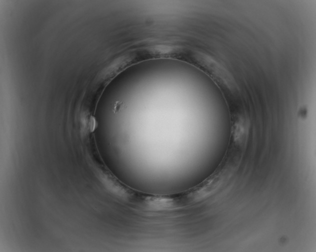 X0000102280476200807251402