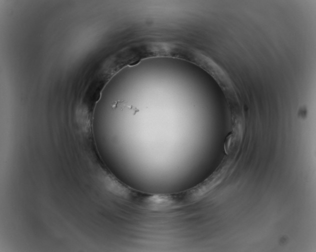 X0000102280477200807251402