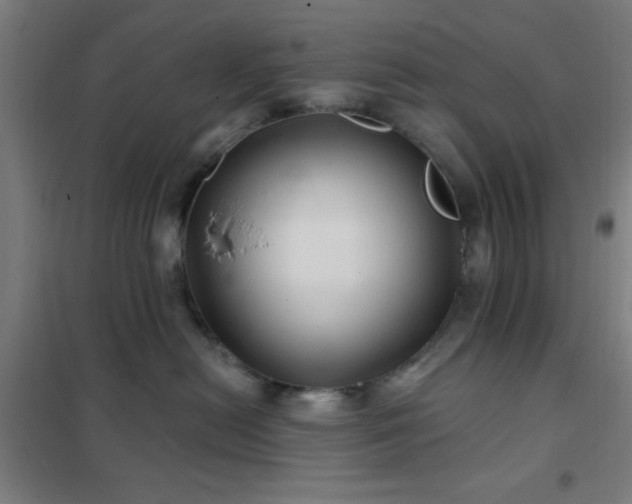 X0000102280478200807251402