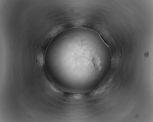 X0000102280479200807251402