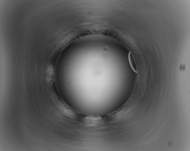 X0000102280480200807251402