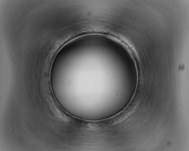 X0000102280481200807251402
