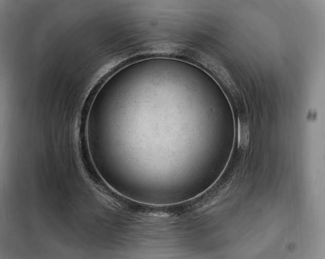 X0000102280483200807251402