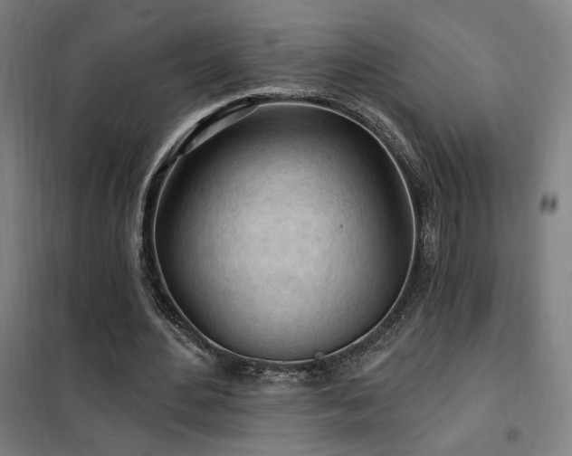 X0000102280484200807251402