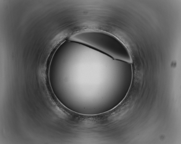 X0000102280485200807251402