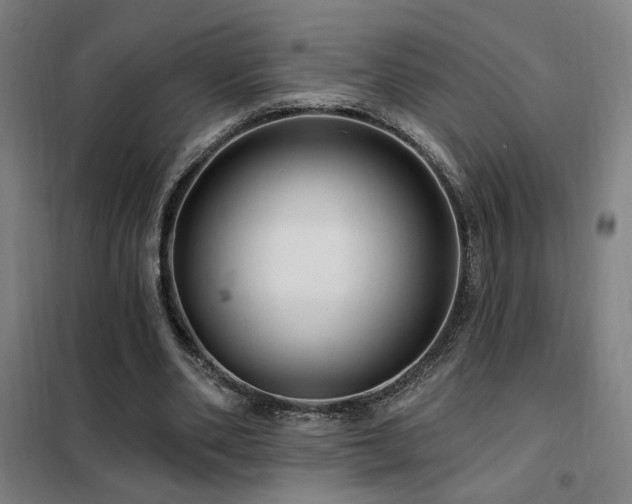 X0000102280486200807251402