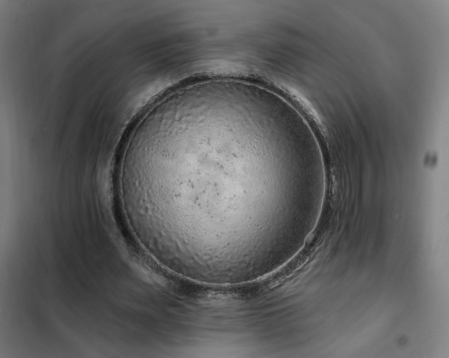 X0000102280487200807251402