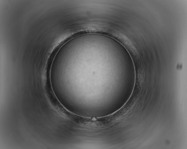 X0000102280488200807251402