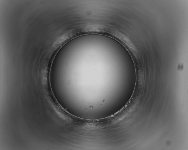 X0000102280489200807251402