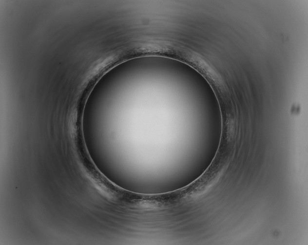 X0000102280490200807251402