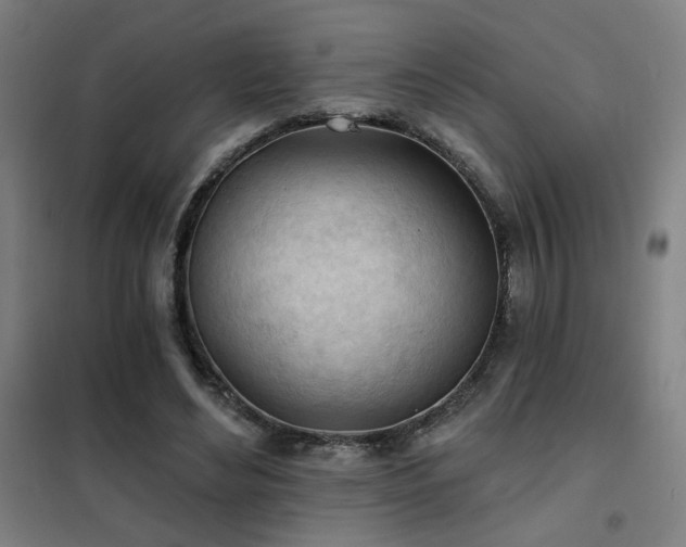 X0000102280492200807251402