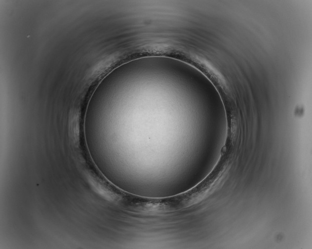 X0000102280493200807251401