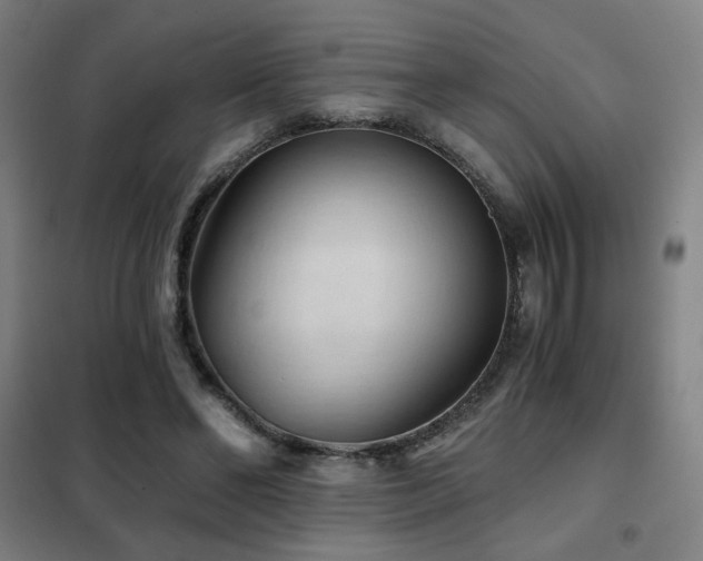 X0000102280494200807251401