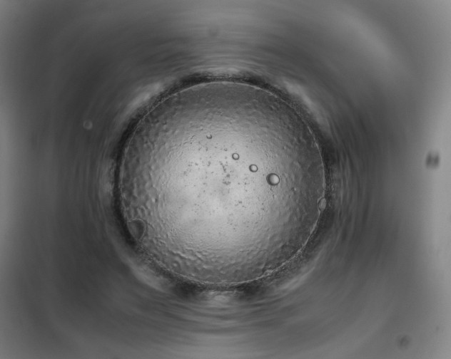 X0000102280495200807251401