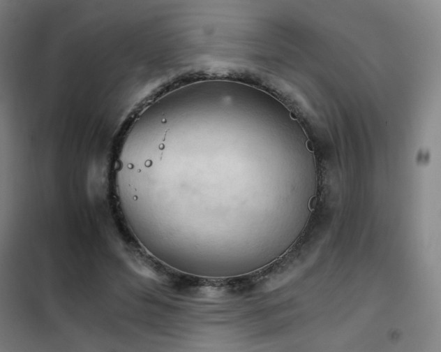 X0000102280496200807251401