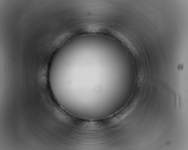 X0000102280497200807251401