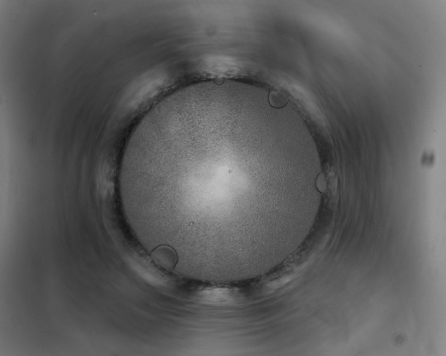 X0000102280499200807251401