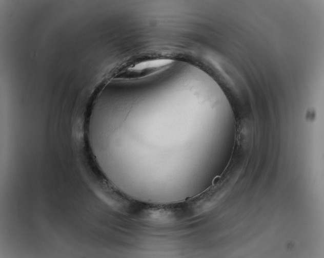X0000102280500200807251401