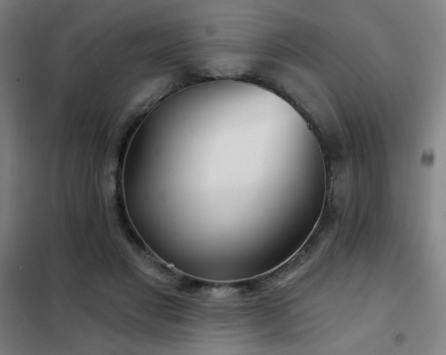 X0000102280501200807251401