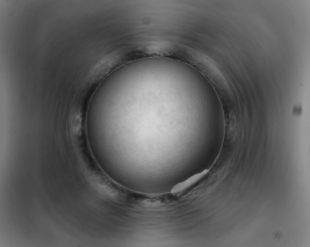 X0000102280502200807251401