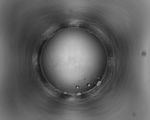 X0000102280504200807251401
