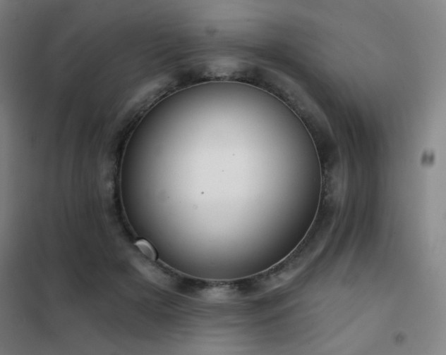 X0000102280505200807251401
