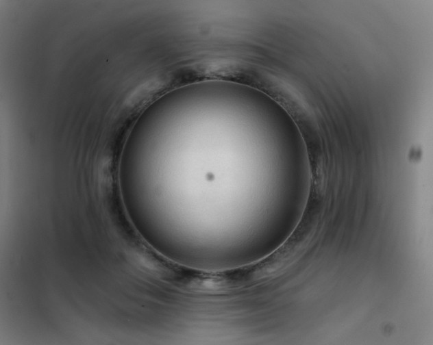 X0000102280506200807251401