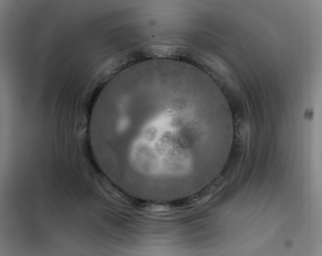 X0000102280507200807251401
