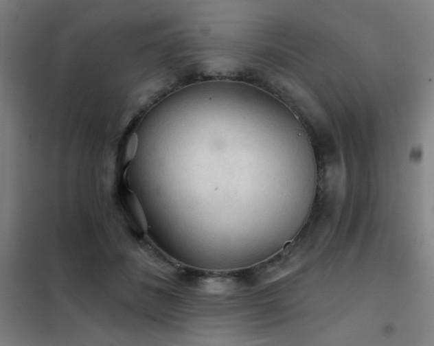 X0000102280508200807251401