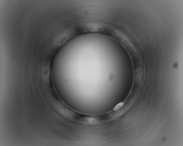 X0000102280509200807251401