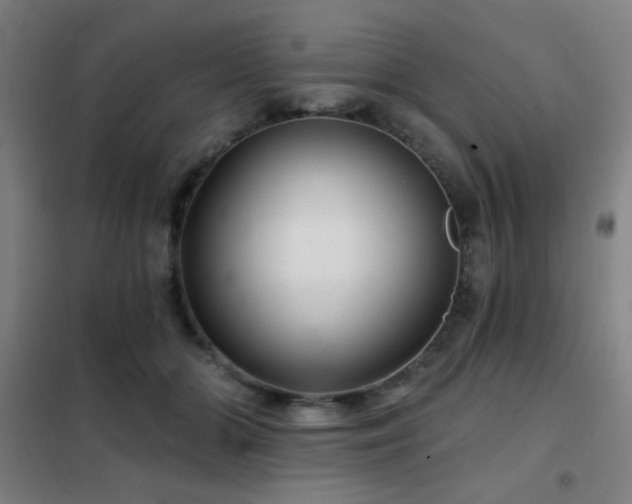 X0000102280510200807251401