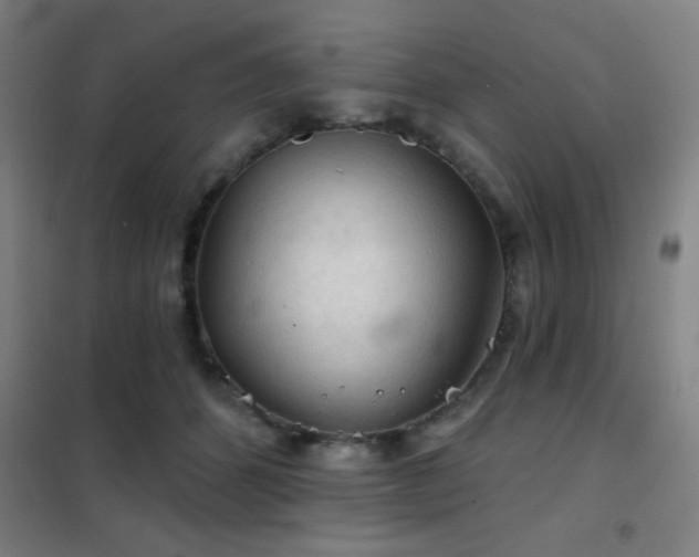 X0000102280512200807251401