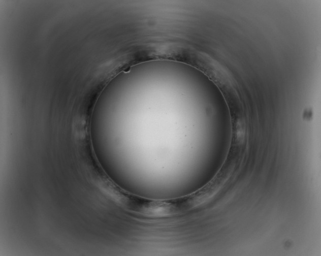 X0000102280514200807251401